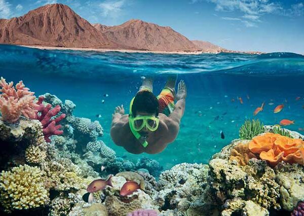 diving from hurghada (2)