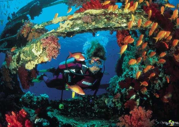 diving from hurghada (4)