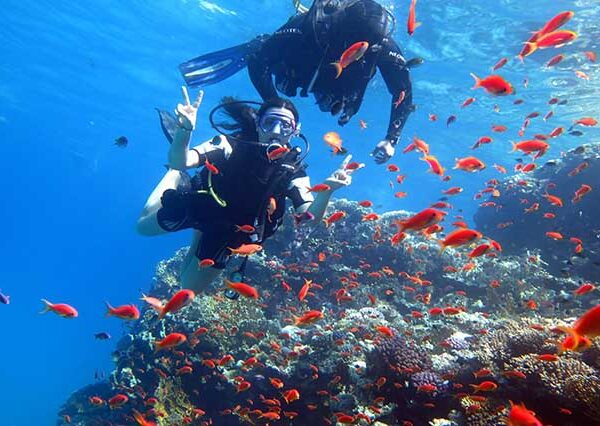 diving from hurghada (5)
