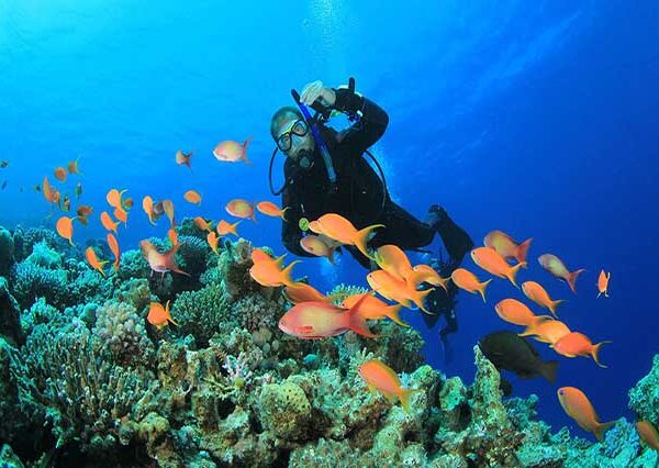 diving from hurghada (6)