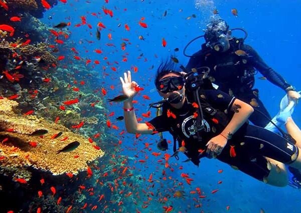 diving from hurghada (7)