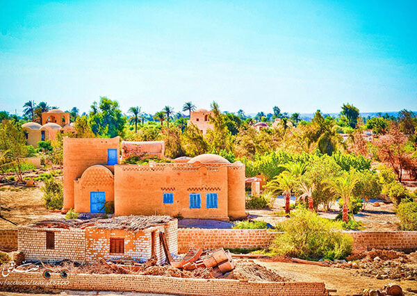 overday to el fyoum oases (4)