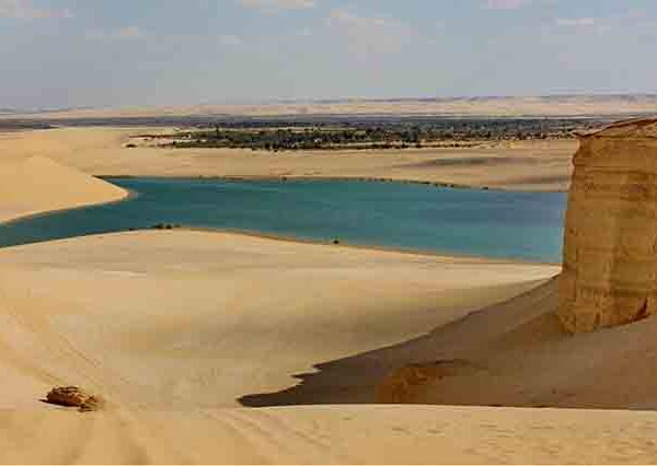 overday to el fyoum oases (6)