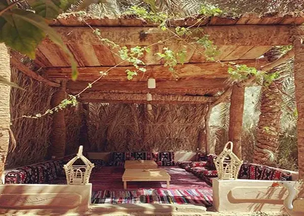 siwa oasis from cairo (2)