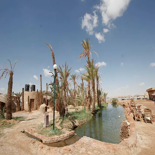 siwa oasis from cairo (7)