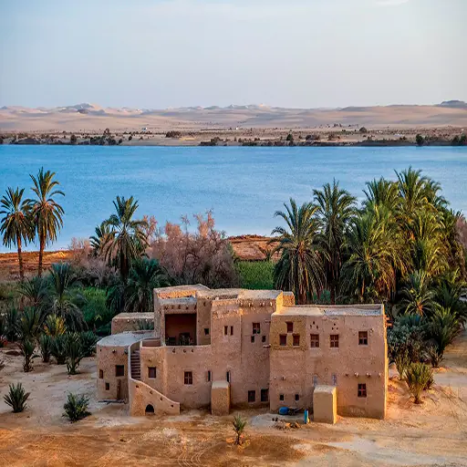 siwa oasis from cairo (8)
