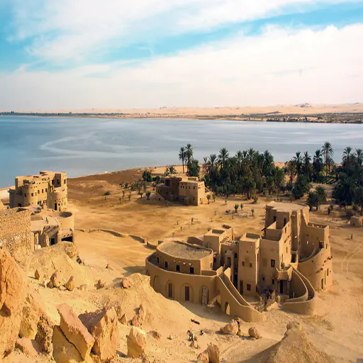 siwa oasis from cairo (9)