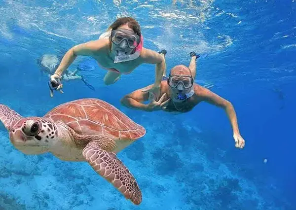 snorkeling trip & excursion from safaga port (4)