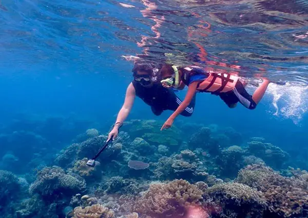 snorkeling trip & excursion from safaga port (6)