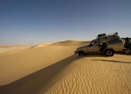 White Desert & Bahariya Oasis .Camping