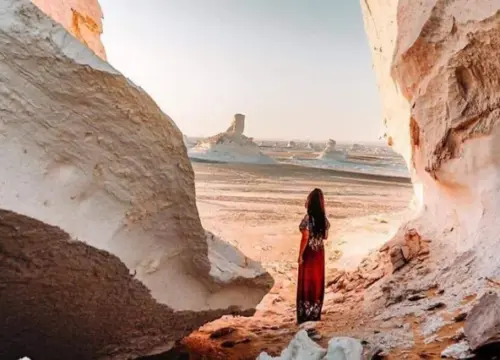 White Desert & Bahariya Oasis Camping