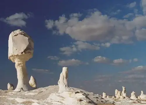 Overnight White Desert Camping private